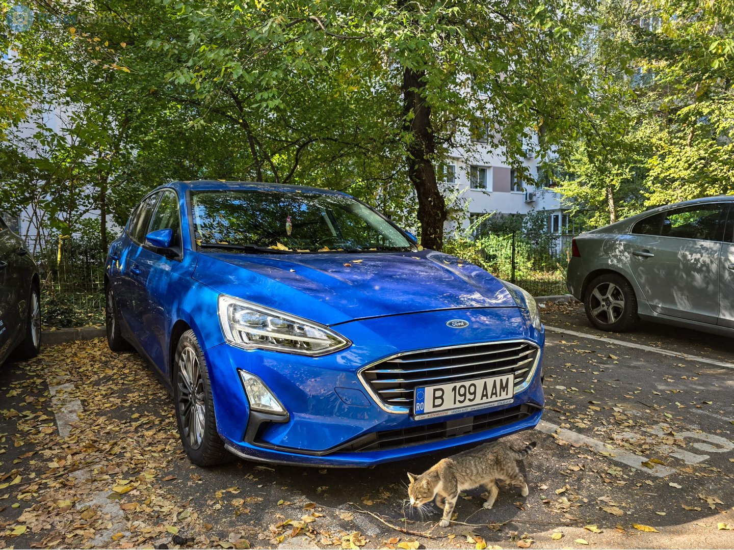 B 199 AAM, Ford Focus 4th gen Hatch (DEH; C519), 2018–2022