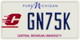 Michigan, Specialty plates (AB12C)