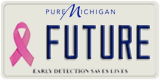 Michigan, Vanity Plates