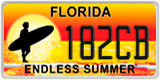 Florida, Specialty plates (XXXXX)
