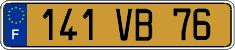 French license plate, FNI