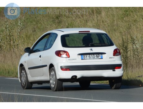 BY-610-NP, Peugeot 206