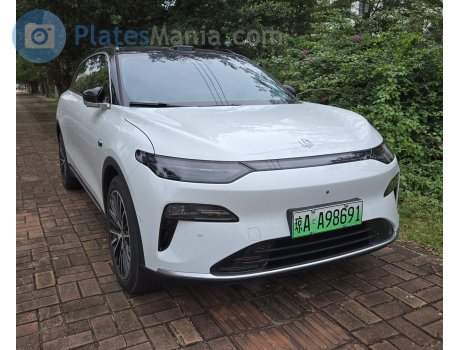 琼A·A98691, Leapmotor C11