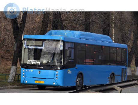 ау 337 42, NefAZ (NZAS) 5299