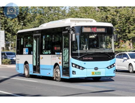 京A·46335D, BYD ebus