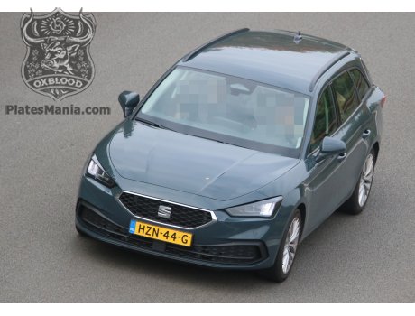 HZN-44-G, SEAT León