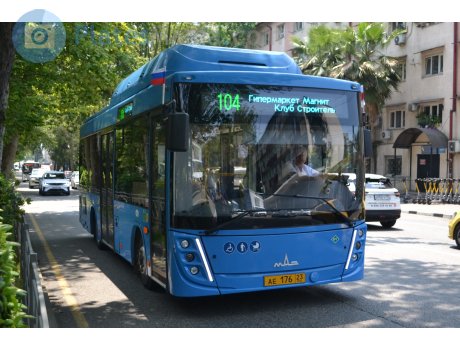 ае 176 23, MAZ 206