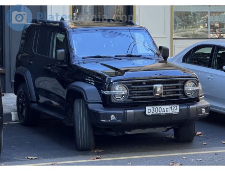 о300ае123, Tank 300