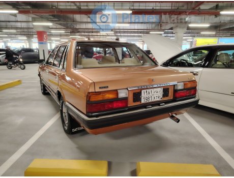 ‎١٩٨١‎ ‎ر ط ص‎ / 1981 XTR, Datsun Laurel
