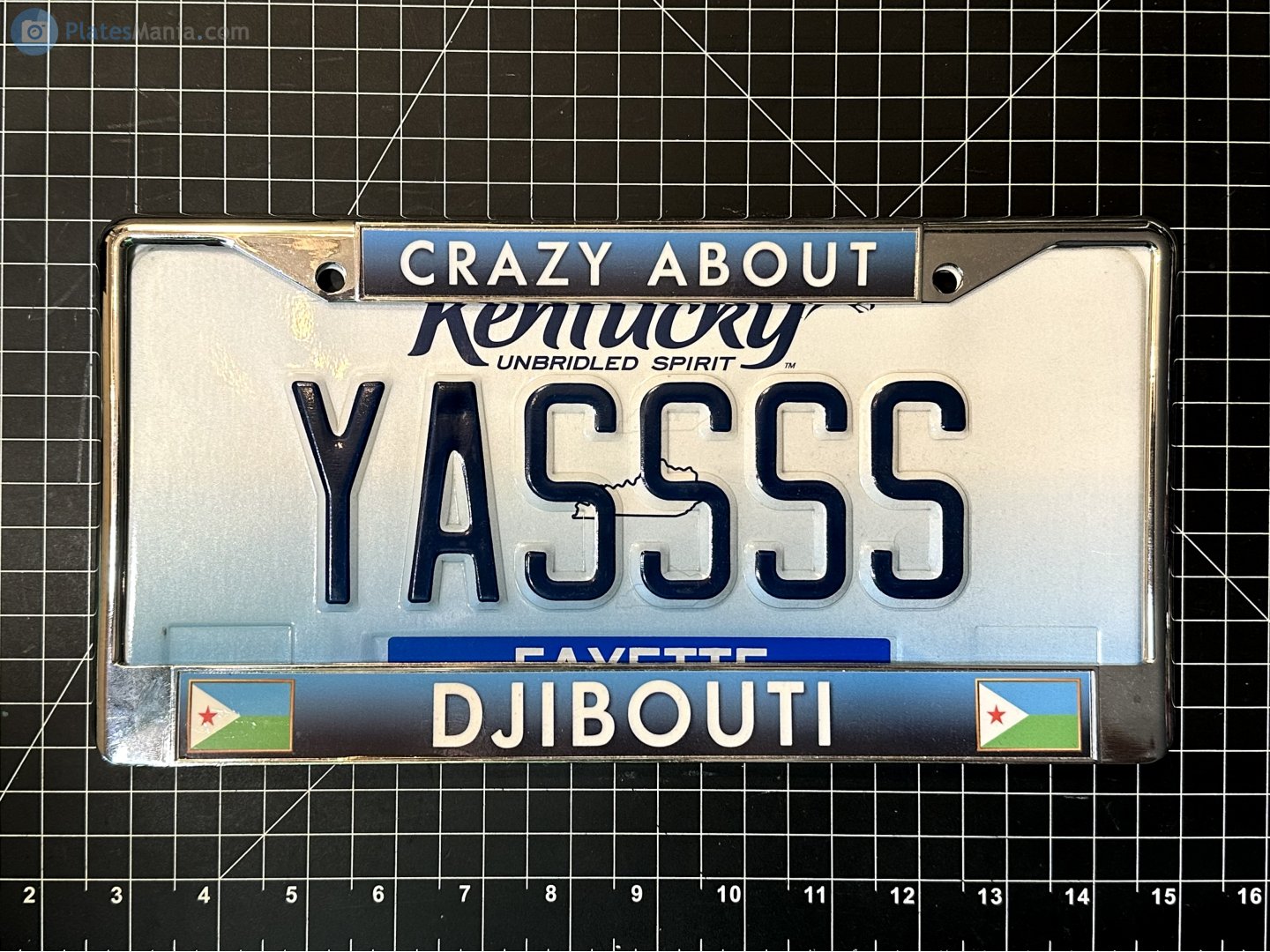 YASSSS, License plate without vehicle 