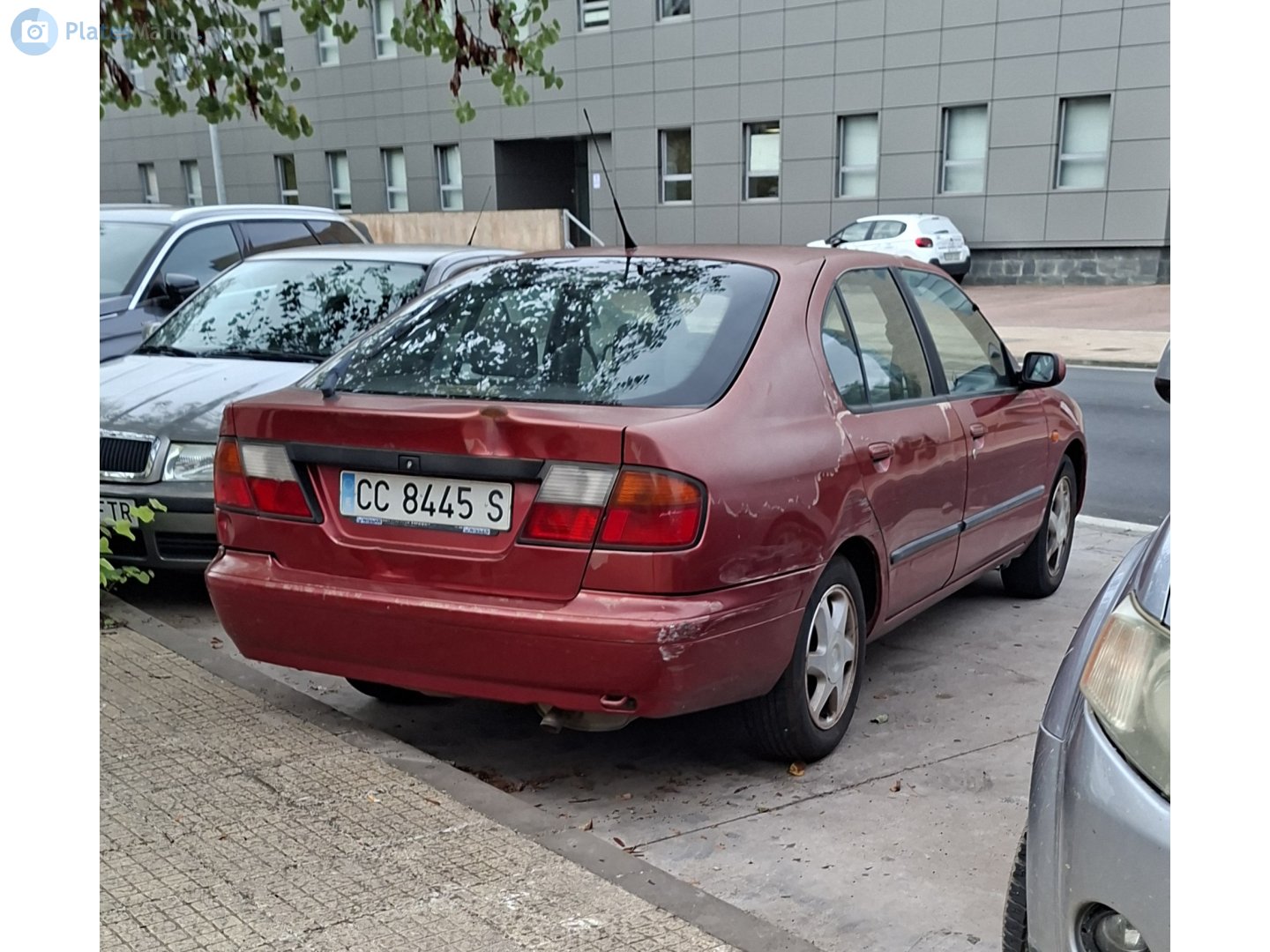 CC 8445 S, Nissan Primera 2nd gen Sedan/Liftback (P11), 1995–1999