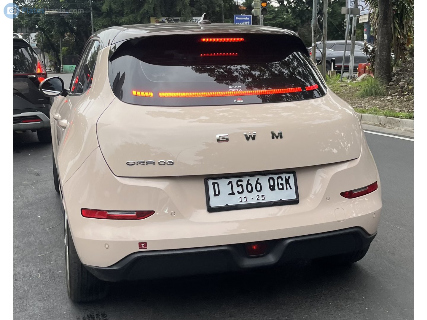 D 1566 QGK, Ora (Oula) 03/ Haomao/ Good(Funky) cat 1st gen (ES11), 2020–