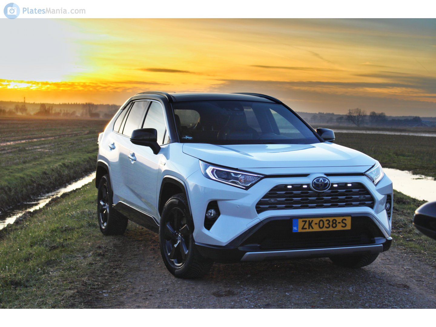 ZK-038-S, Toyota RAV4 5th gen (XA50), 2018–