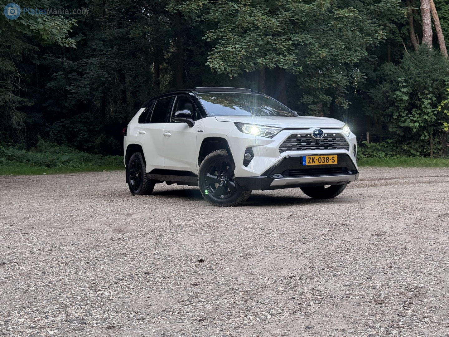 ZK-038-S, Toyota RAV4 5th gen (XA50), 2018–