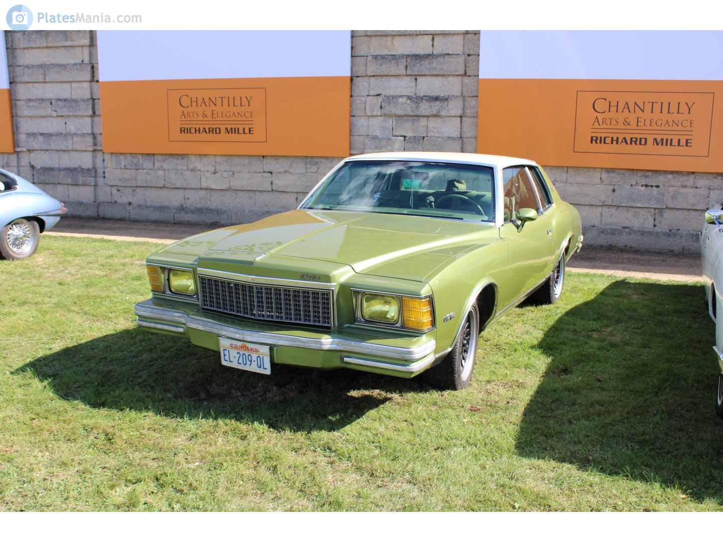 EL-209-QL, Chevrolet Monte Carlo 3rd gen 1980 (Z03/Z37; G-body), 1979–1980