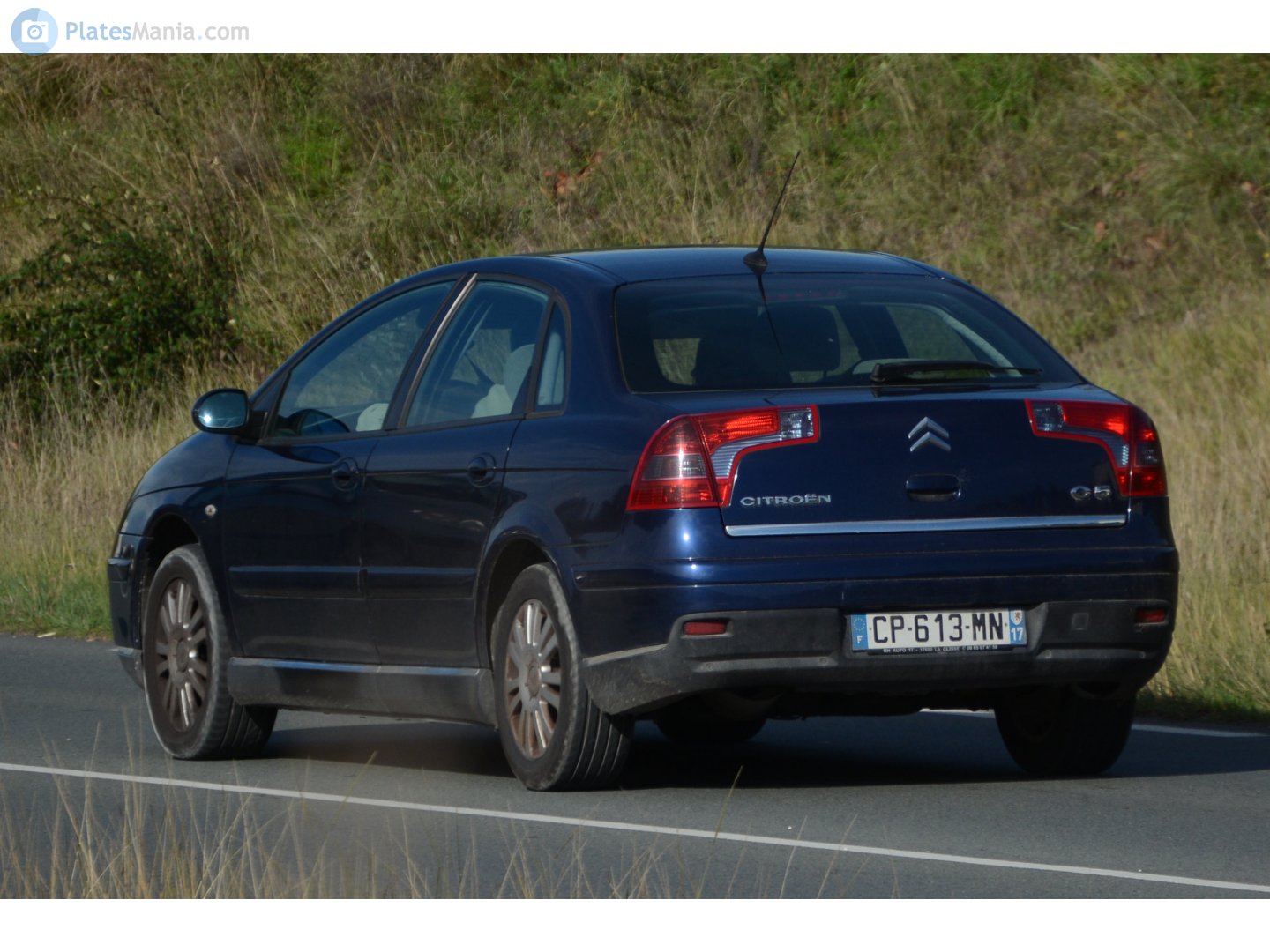 CP-613-MN, Citroёn C5 1st gen Liftback (DE), facelift, 2004–2007