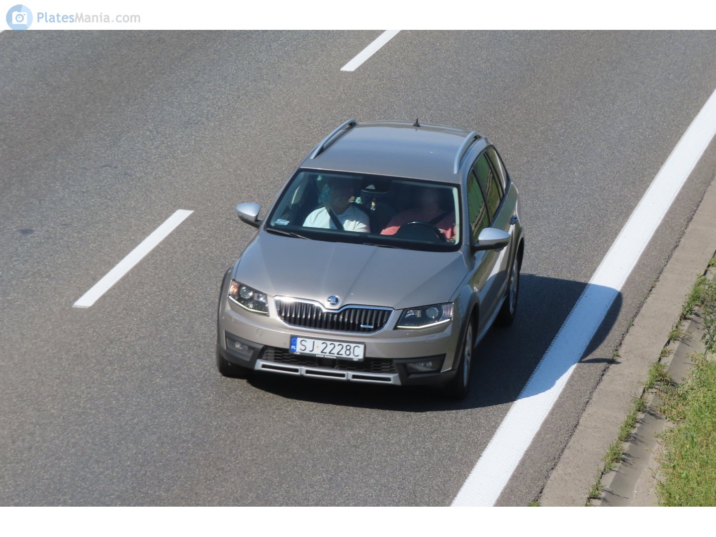 SJ 2228C, Skoda Octavia 3rd gen Scout (A7/5E5), 2014–2017