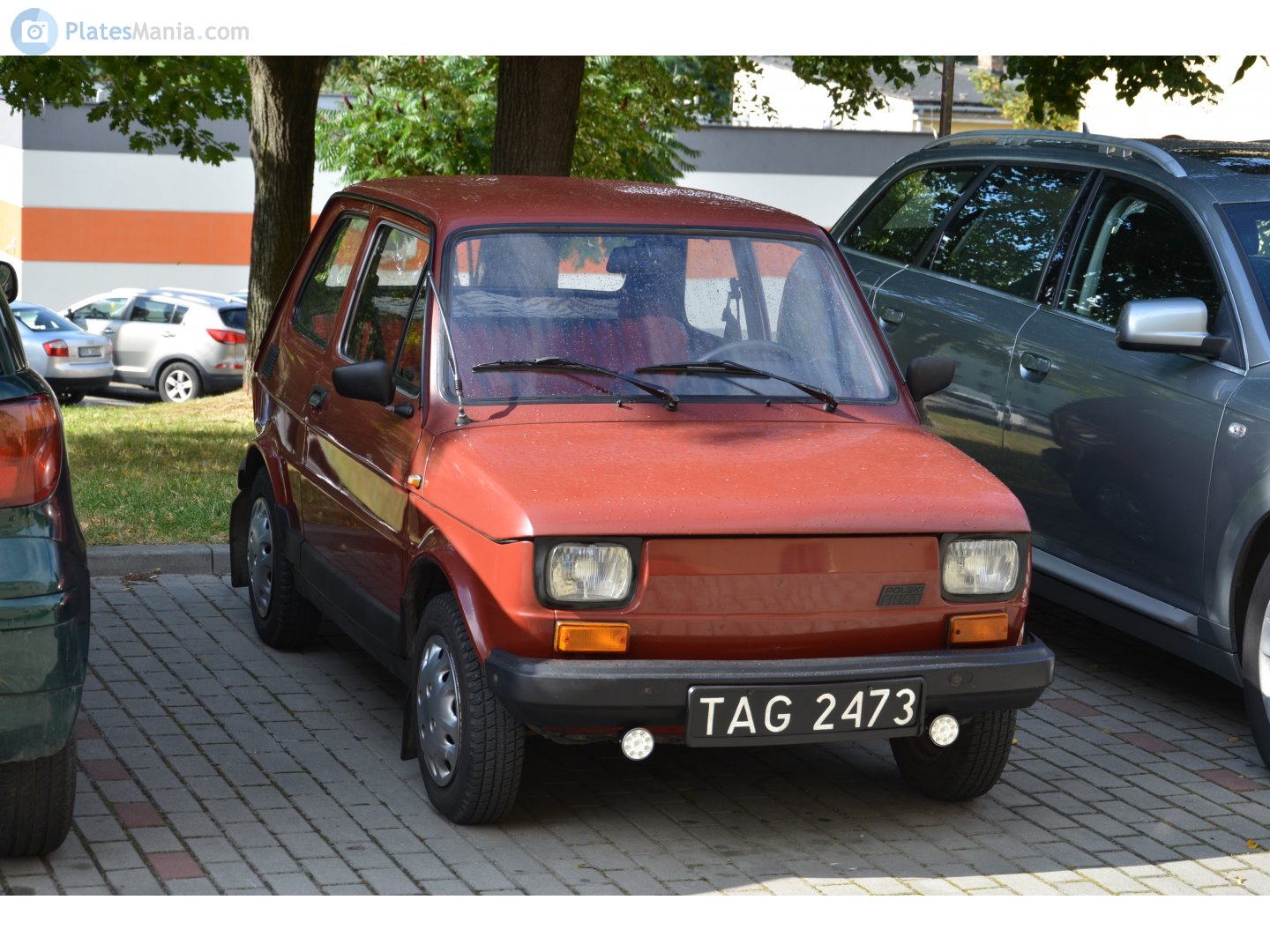 TAG 2473, Polski Fiat 126p 126p 600/650/FL, 1973–1994