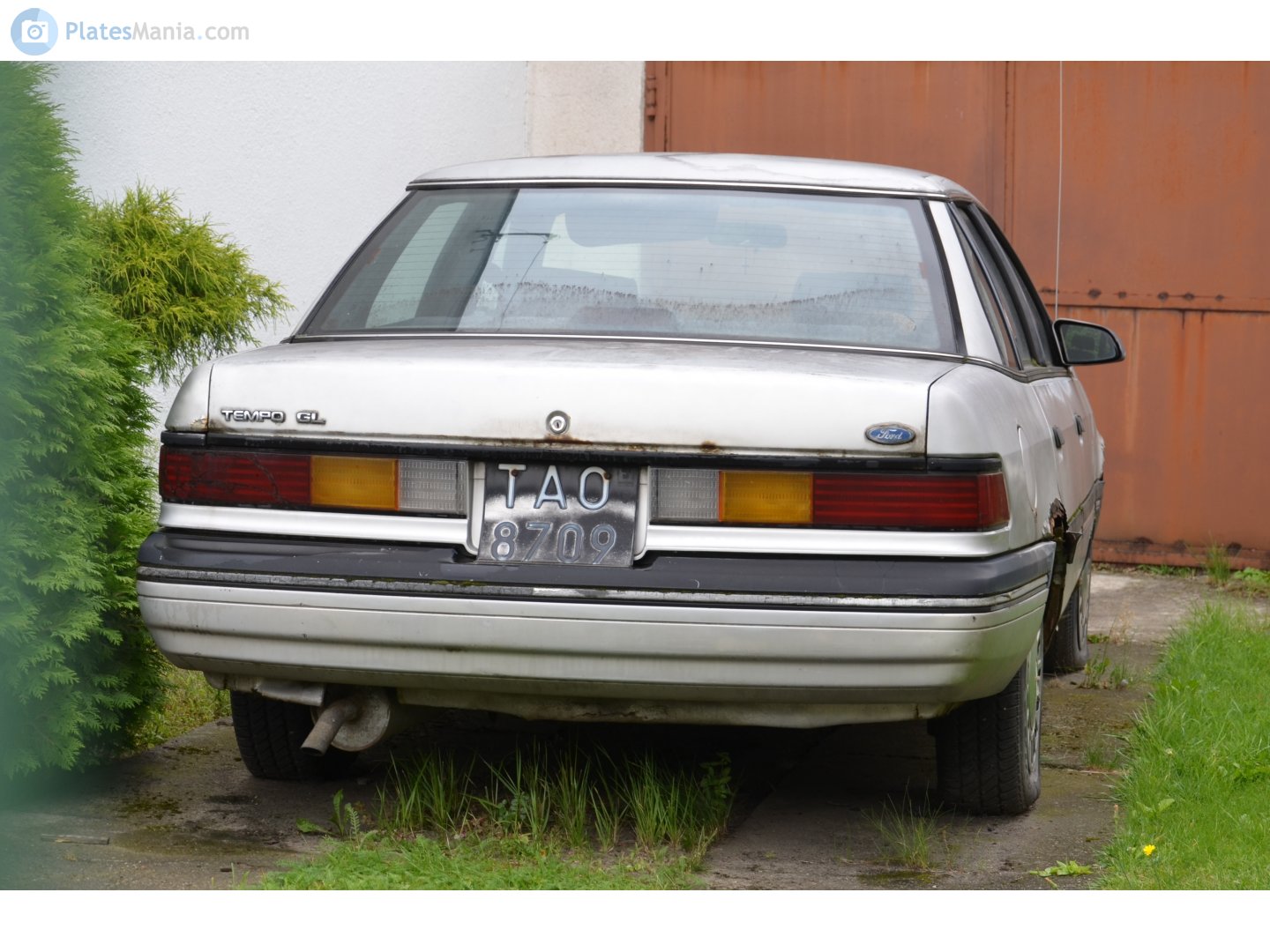 TAO 8709, Ford Tempo 