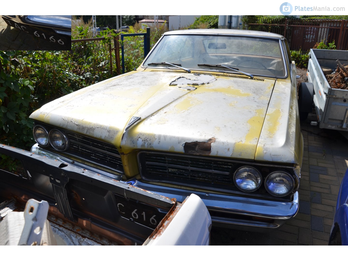 TAC 6166, Pontiac GTO 1st gen (A-body), 1964–1965