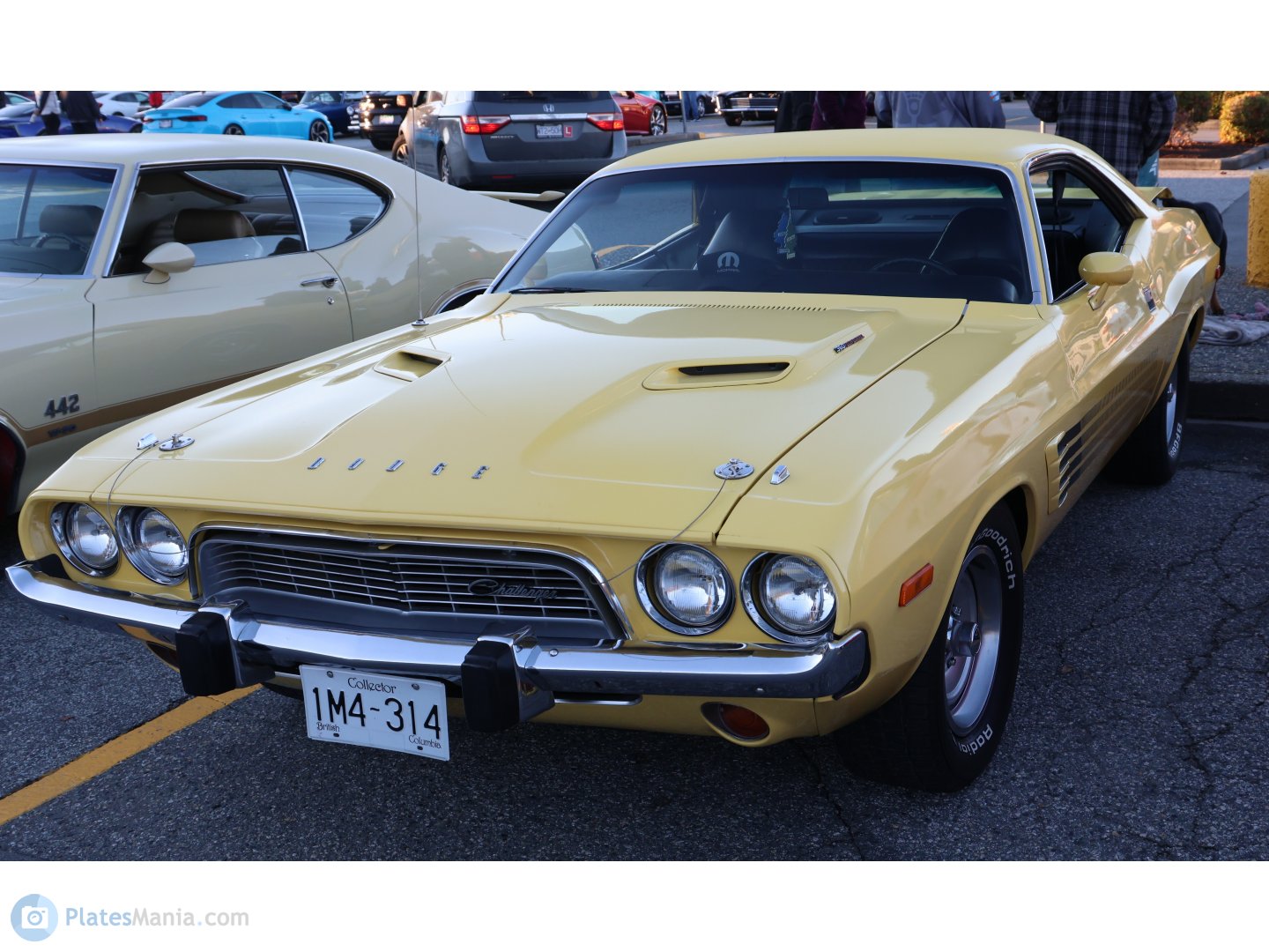 1M4-314, Dodge Challenger 