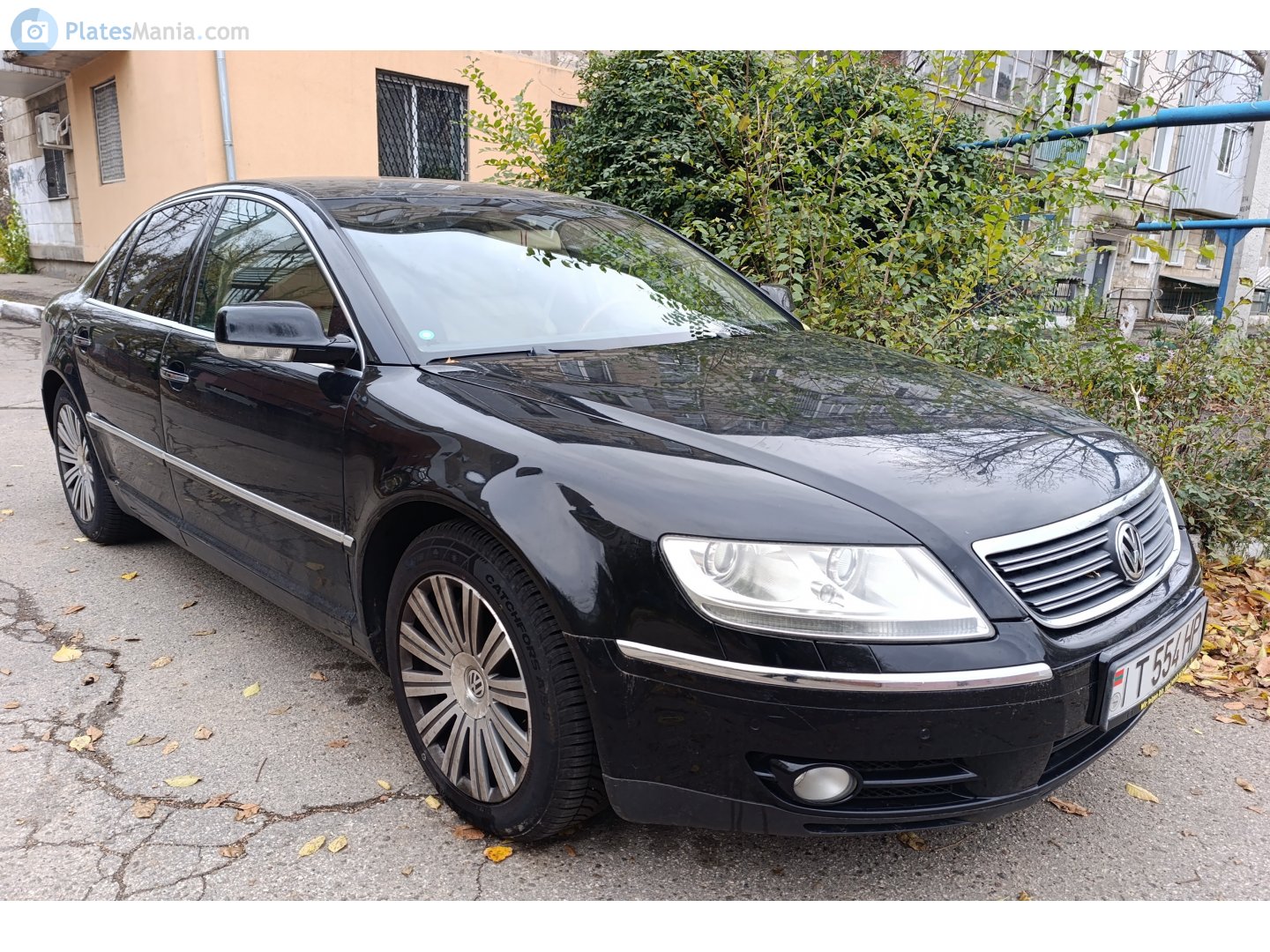 T 554 HP, Volkswagen Phaeton 1st gen (3D), 2002–2010