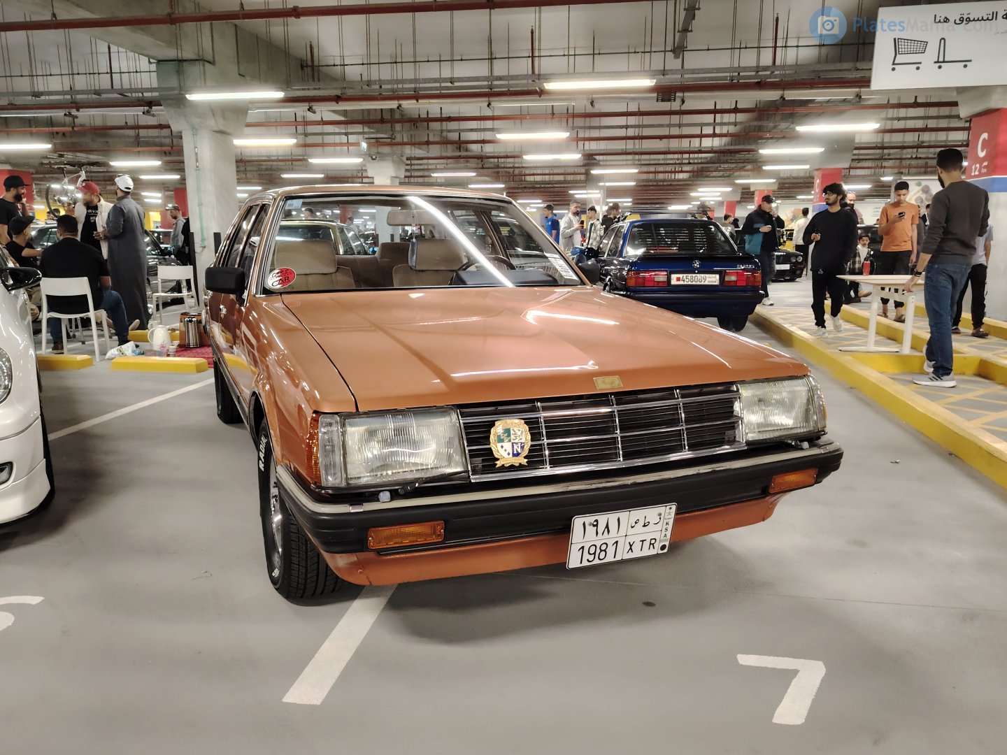 1981 XTR, Datsun Laurel 4th gen (C31), 1980–1986