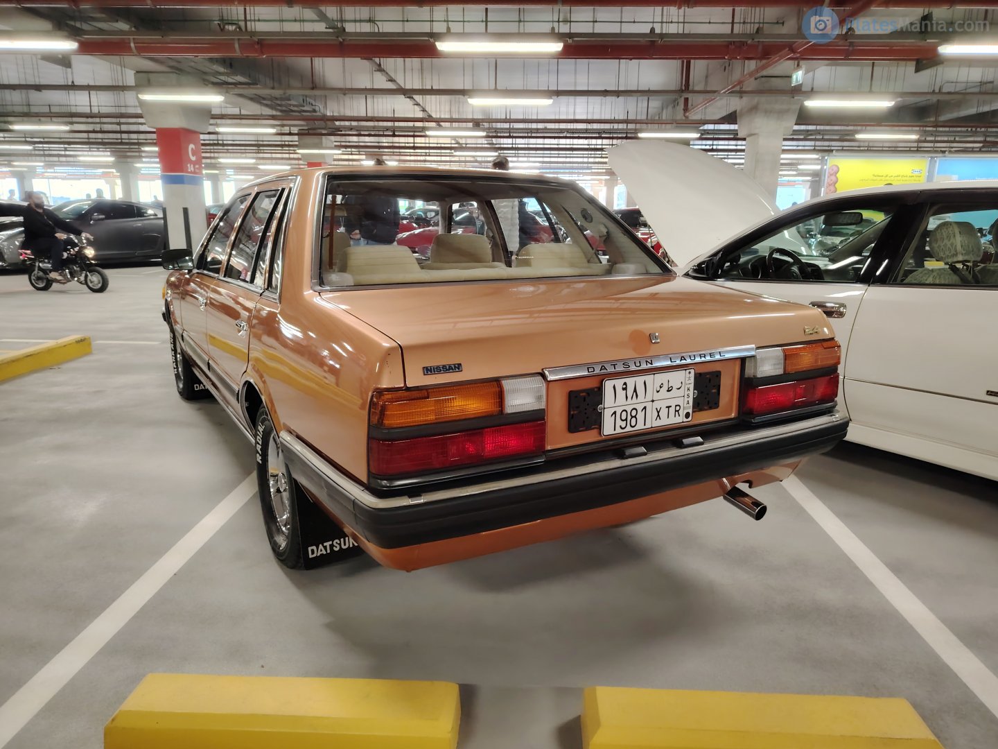 1981 XTR, Datsun Laurel 4th gen (C31), 1980–1986