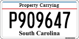 South Carolina, Property Carrying (P123456)