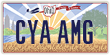 Ohio, Vanity Plates