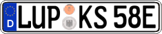 German license plate, Electric vehicles