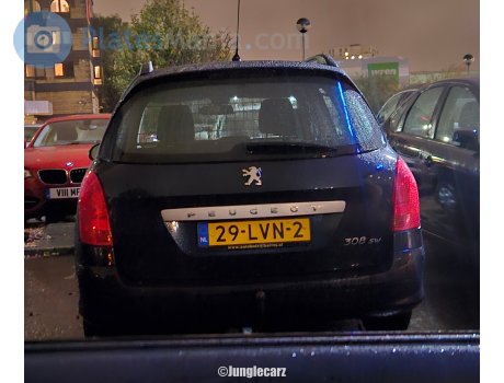 29-LVN-2, Peugeot 308