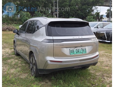 琼B·DA1393, Aion (GAC NE) Y