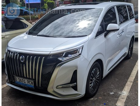 B 1674 PCN, Denza (Tengshi) D9