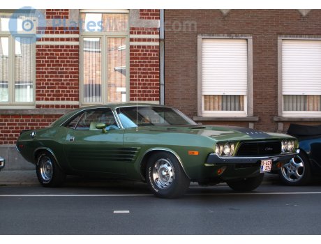 O-AZX-274, Dodge Challenger