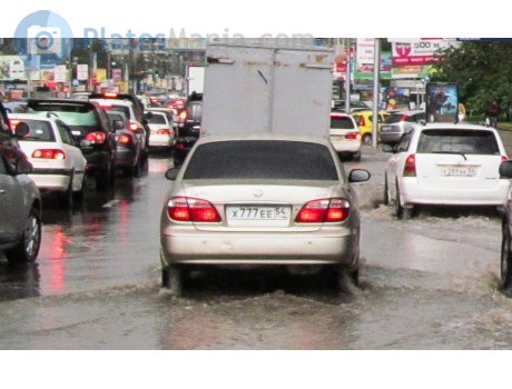 х777ее54, Nissan Cefiro