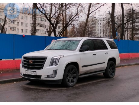у617ро797, Cadillac Escalade
