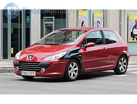 7651 FFF, Peugeot 307