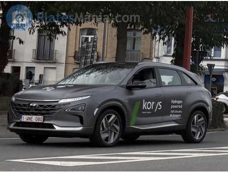1-WNE-080, Hyundai Nexo