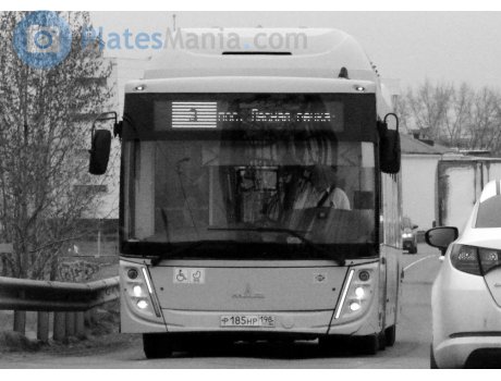 р185нр198, MAZ 203