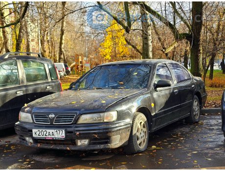 к202аа177, Nissan Maxima