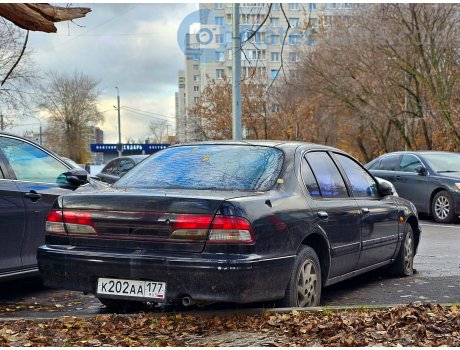 к202аа177, Nissan Maxima