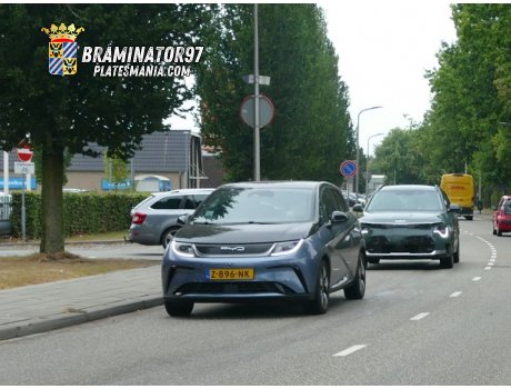 Z-896-NK, BYD Dolphin / Haitun