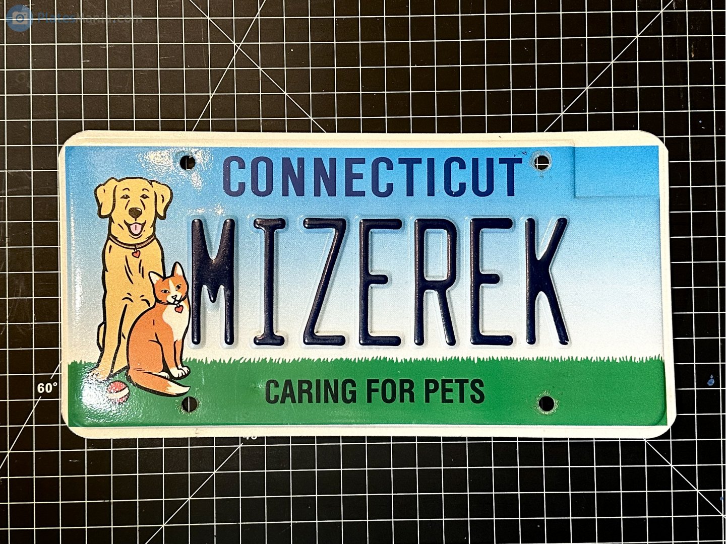MIZEREK, License plate without vehicle 