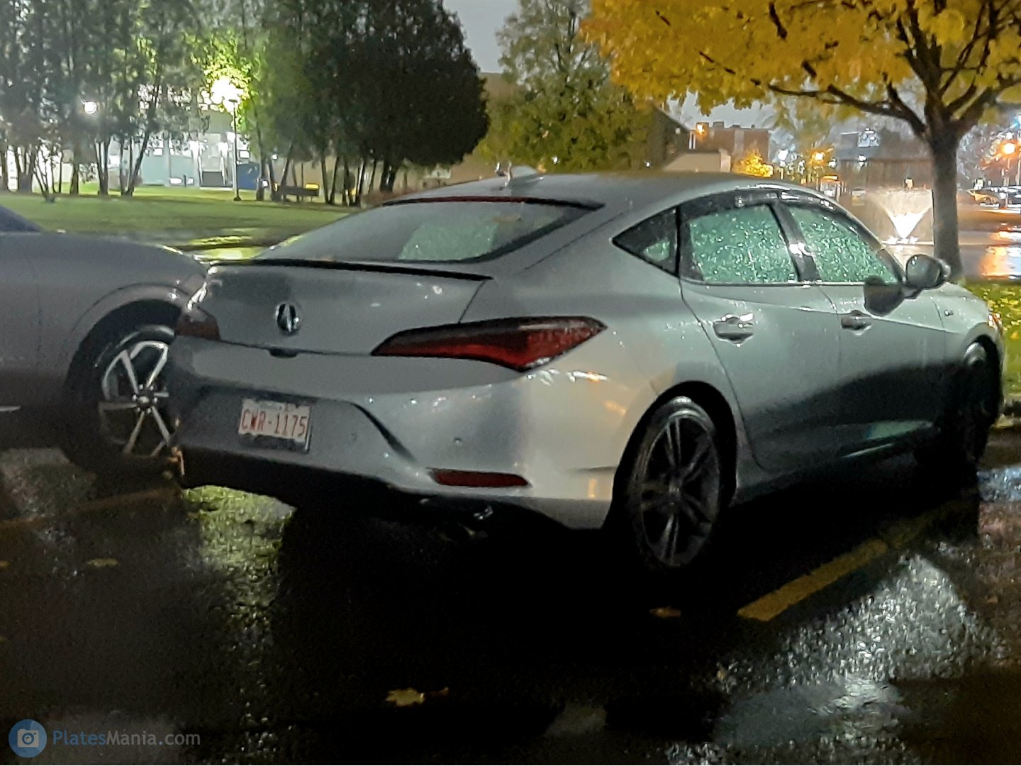 CWR-1175, Acura Integra 5th gen (DE4), 2022–