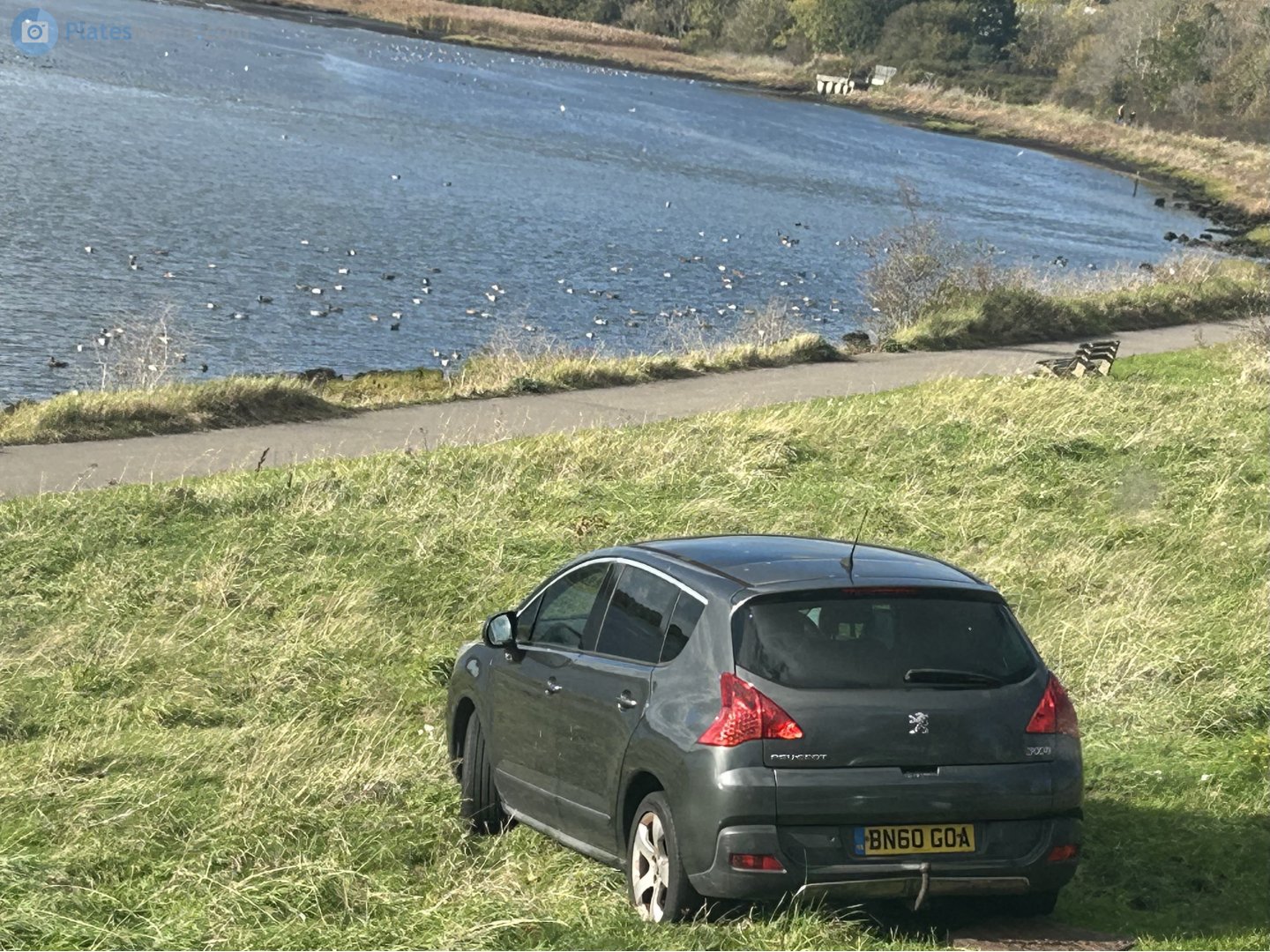 BN60GOA, Peugeot 3008 1st gen (T84; Global-market), 2009–2013