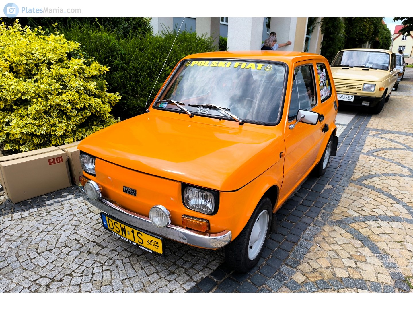 DSW 1S, Polski Fiat 126p 126p 600/650/FL, 1973–1994