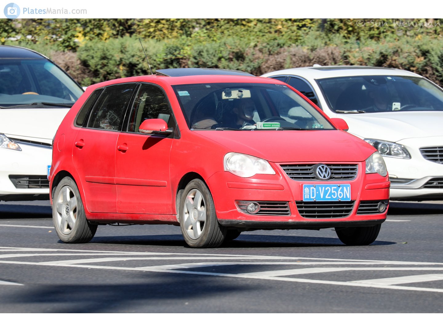 鲁D·V256N, Volkswagen Polo 4th gen (Vivo) 5-door Hatch (9N3), facelift, 2005–2010 (–2014 for BR- and –2018 for ZA-market)