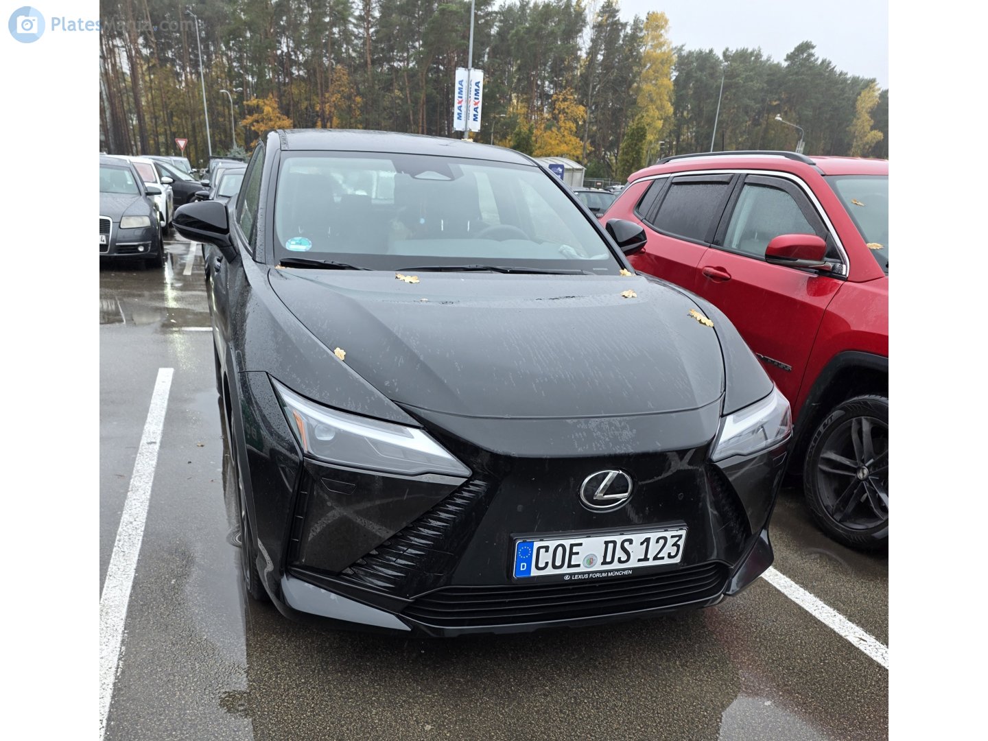 COE DS 123, Lexus RZ 1st gen (XEBM10), 2022–