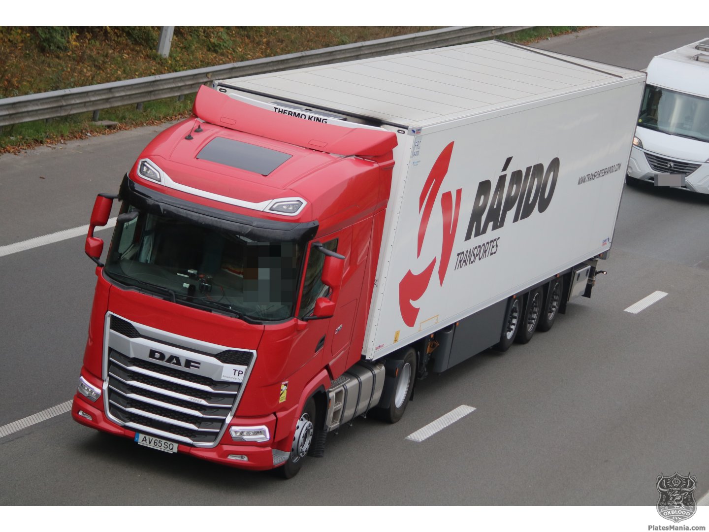 AV 65 SQ, DAF XG 1st gen, 2021–